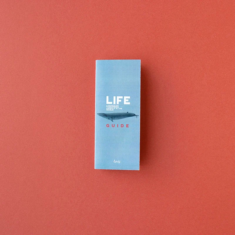 Puzzle Life - Imagen 8